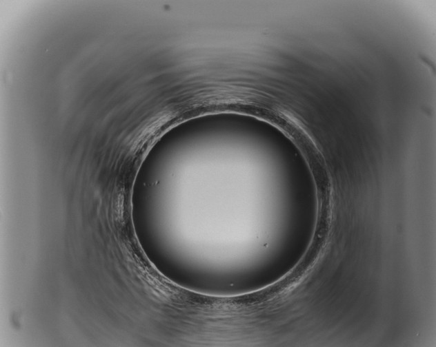 X0000099550777200805231150