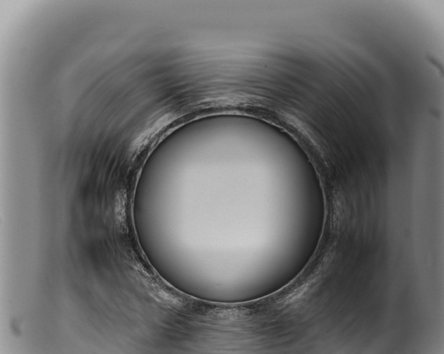 X0000099550778200805231150