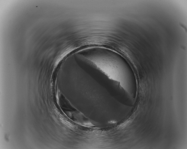 X0000099550779200805231150