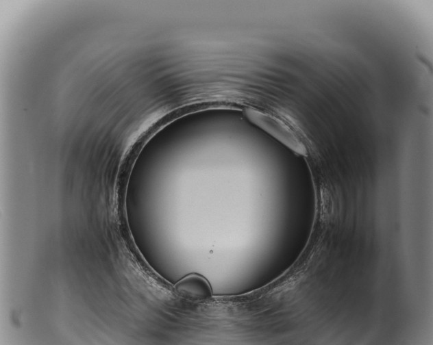 X0000099550780200805231150