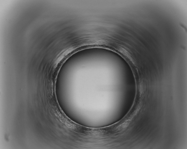 X0000099550781200805231150