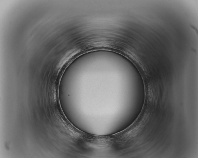 X0000099550782200805231150