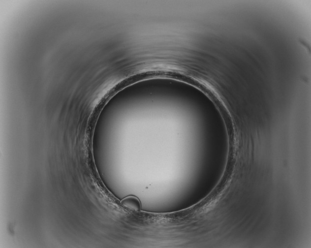 X0000099550783200805231150