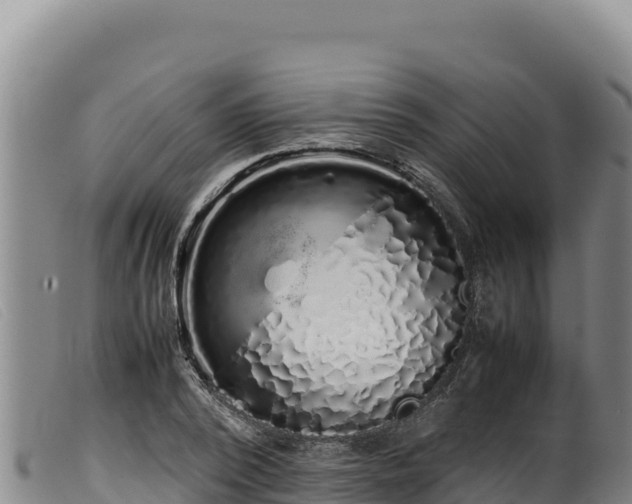 X0000099550784200805231150