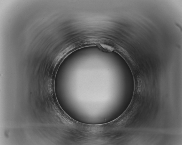 X0000099550786200805231150