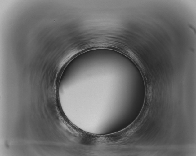 X0000099550787200805231150