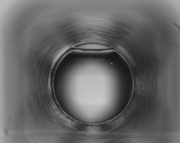 X0000099550788200805231150