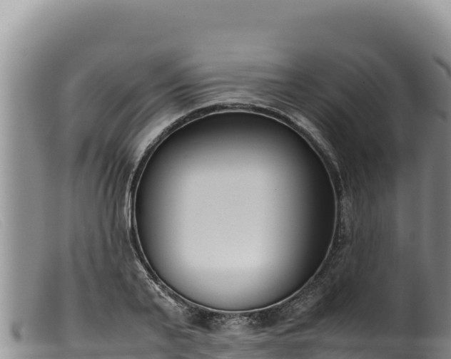 X0000099550791200805231150