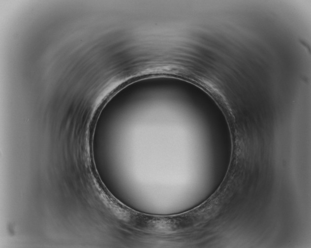 X0000099550792200805231150