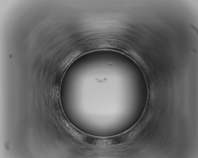 X0000099550793200805231150