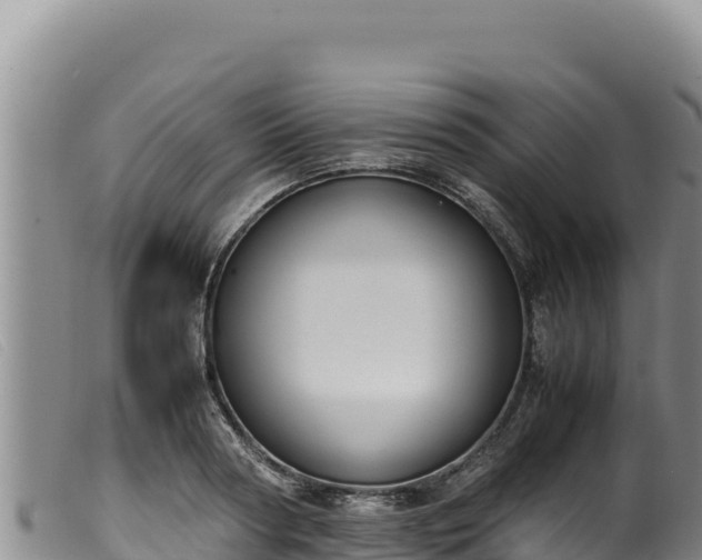 X0000099550794200805231150