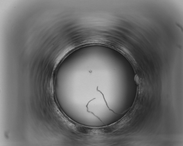 X0000099550796200805231149