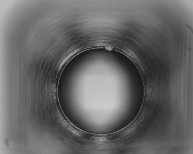 X0000099550798200805231149