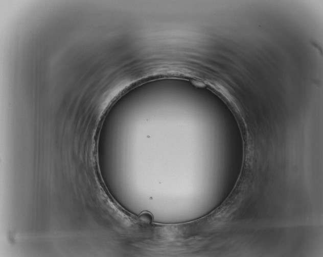 X0000099550799200805231149