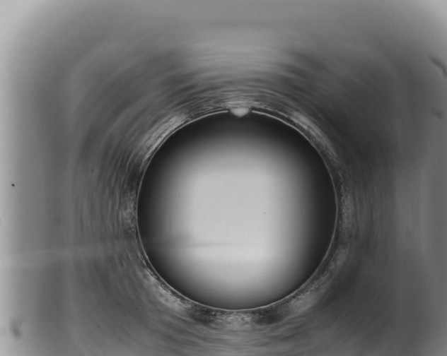 X0000099550801200805231149