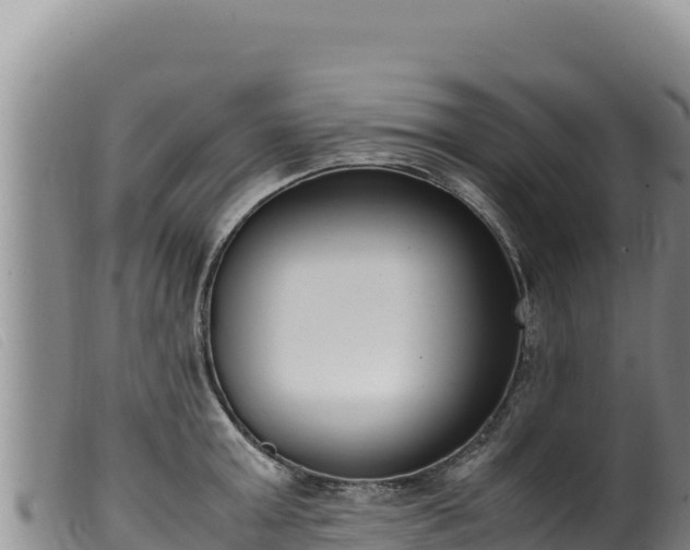 X0000099550803200805231149