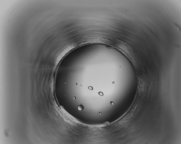 X0000099550804200805231149