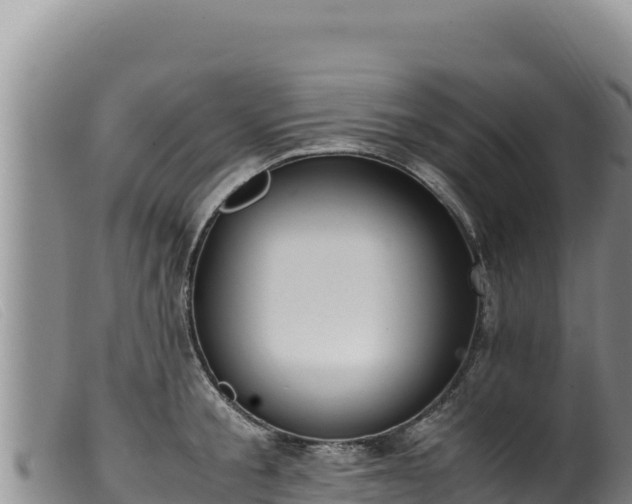 X0000099550805200805231149