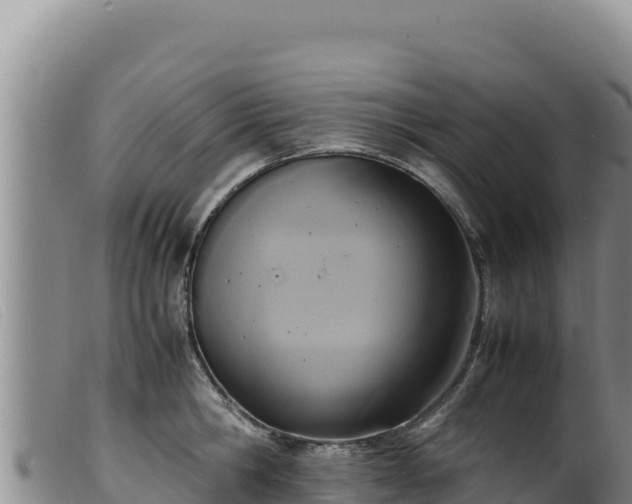 X0000099550806200805231149