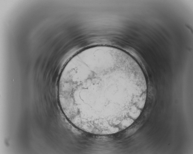 X0000099550807200805231149