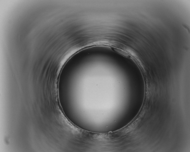 X0000099550808200805231149