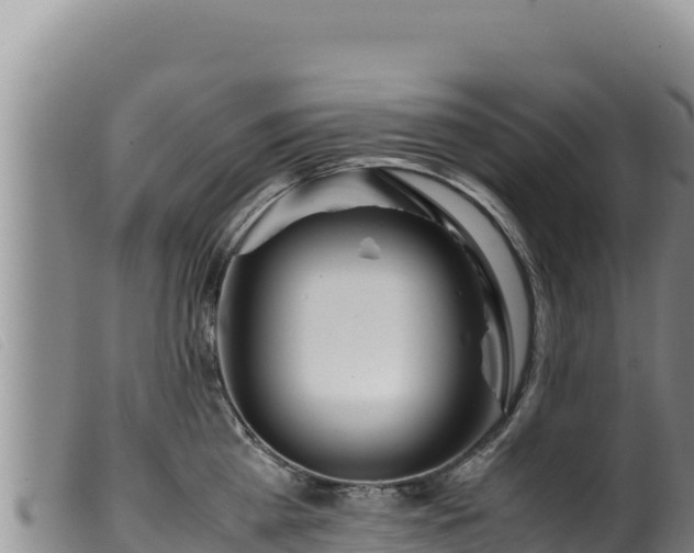 X0000099550809200805231149