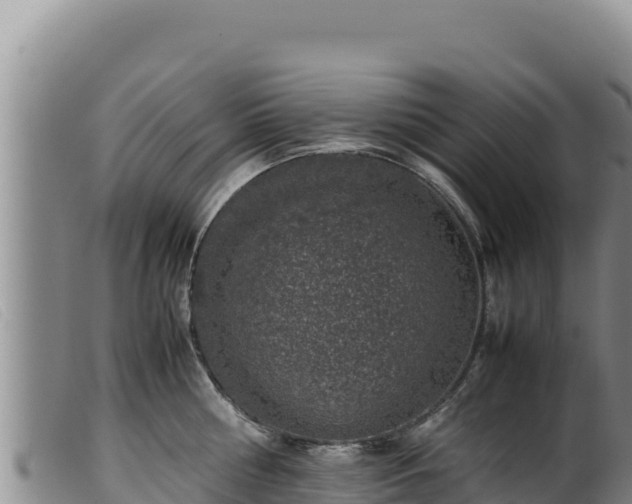 X0000099550810200805231149