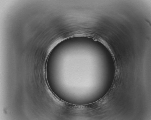 X0000099550811200805231149