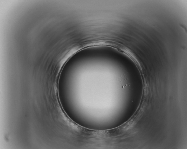 X0000099550813200805231149