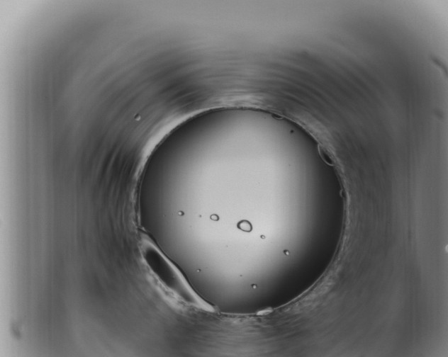 X0000099550816200805231149