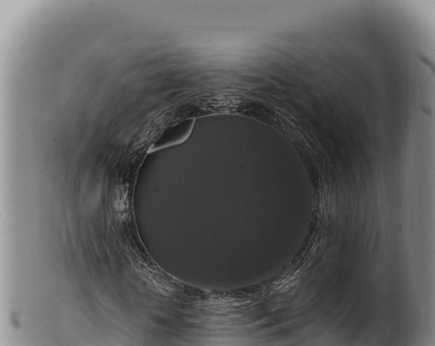 X0000099550818200805231148