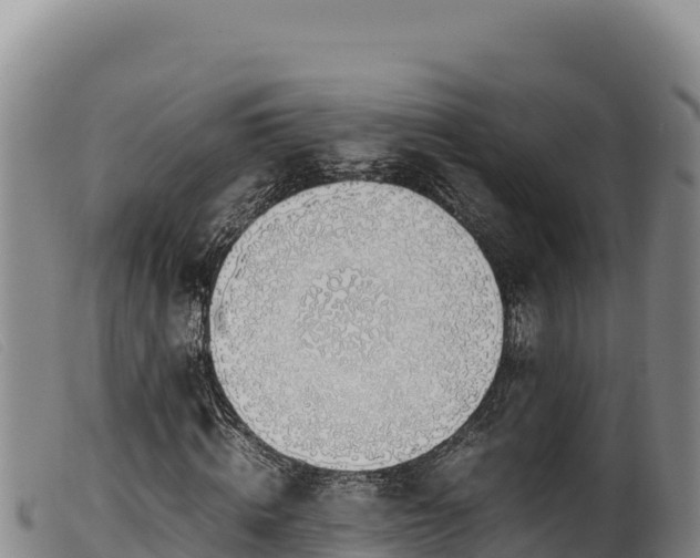 X0000099550820200805231148