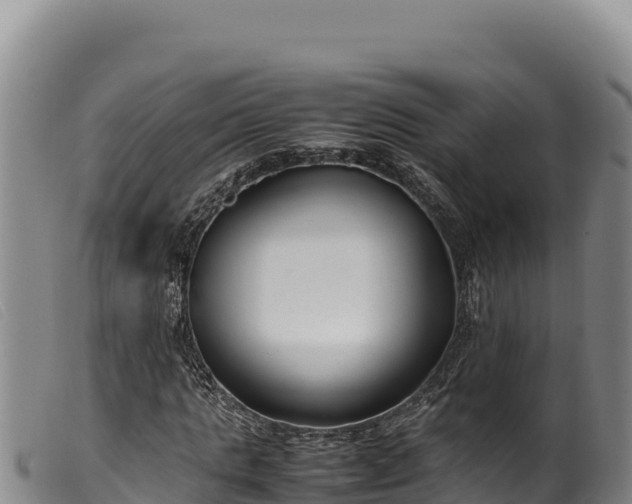 X0000099550821200805231148