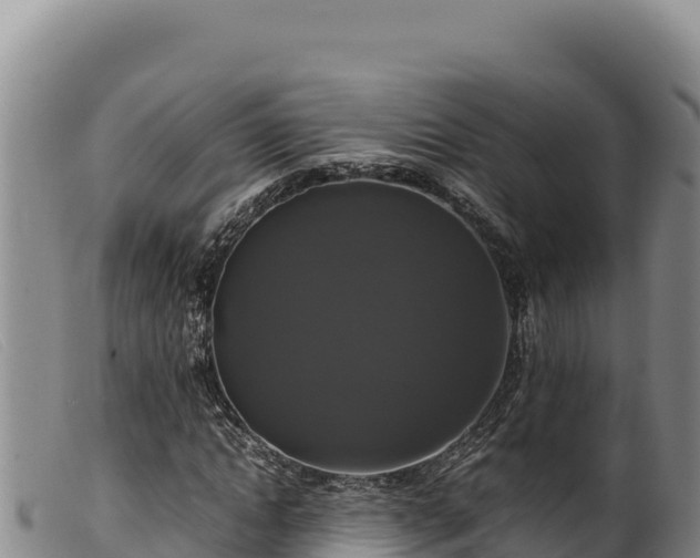 X0000099550822200805231148