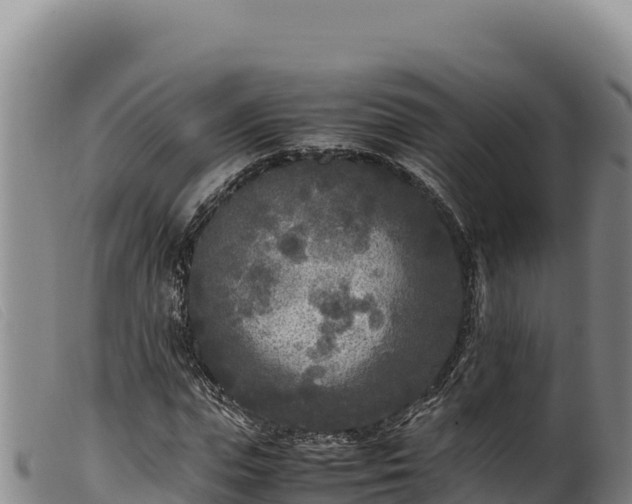 X0000099550823200805231148