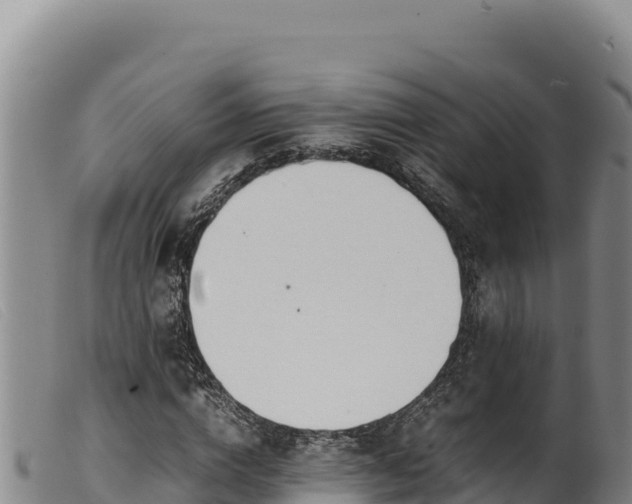 X0000099550824200805231148