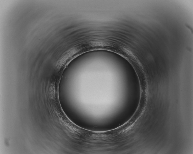 X0000099550825200805231148