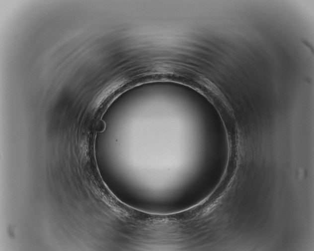 X0000099550826200805231148