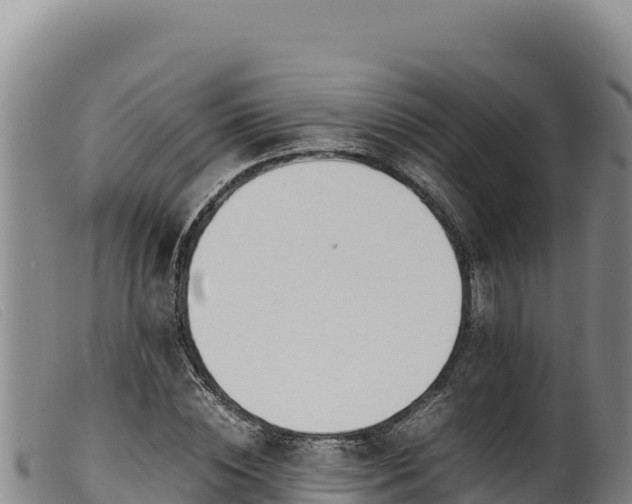 X0000099550828200805231149