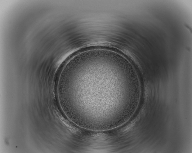 X0000099550830200805231149