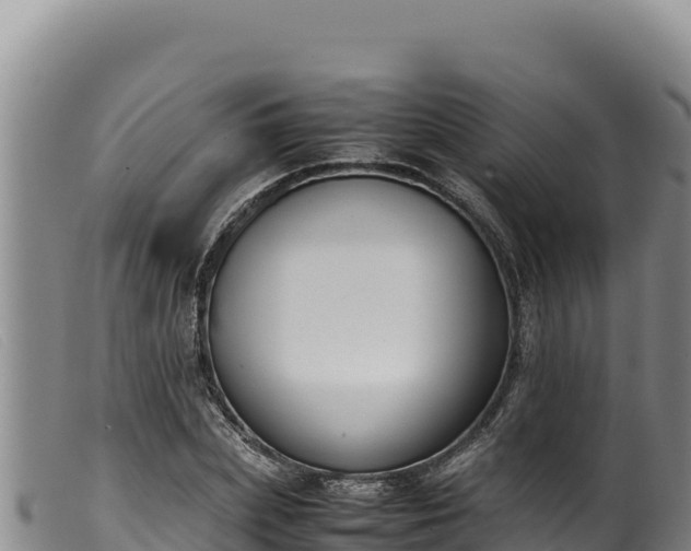 X0000099550831200805231149