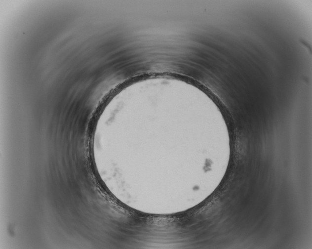 X0000099550832200805231149