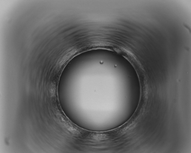 X0000099550833200805231149