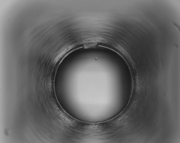 X0000099550834200805231149