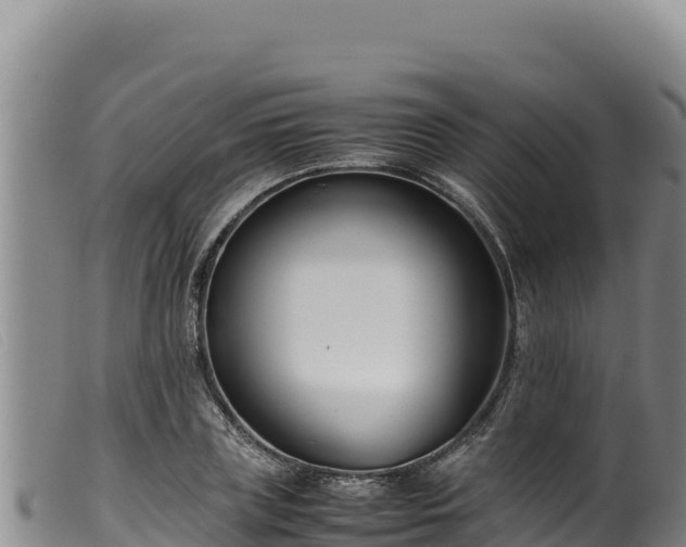 X0000099550835200805231149