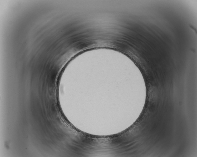 X0000099550836200805231149