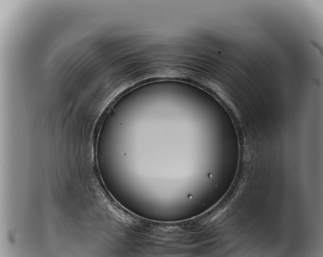 X0000099550837200805231149