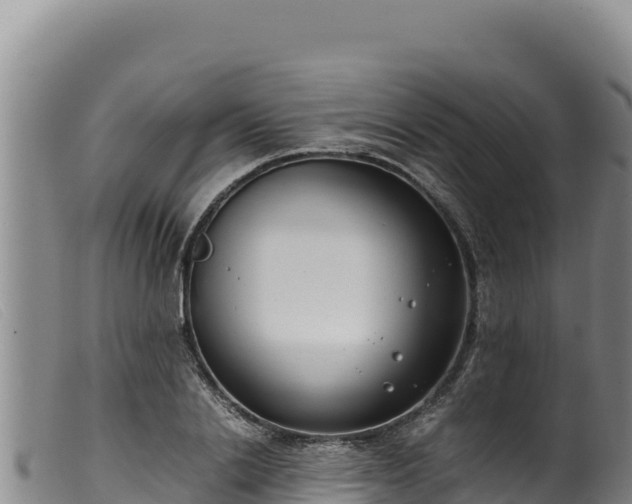 X0000099550838200805231149