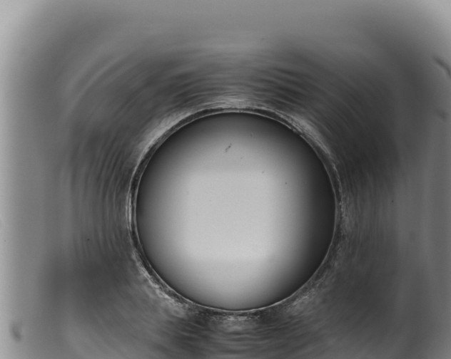 X0000099550839200805231149