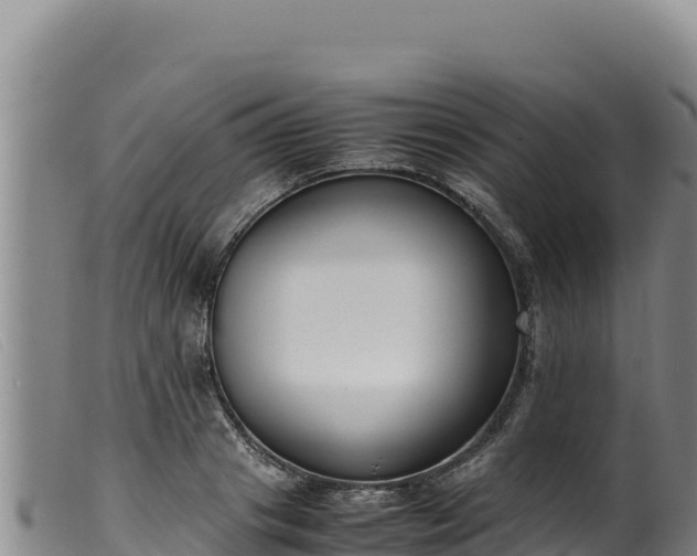 X0000099550841200805231149